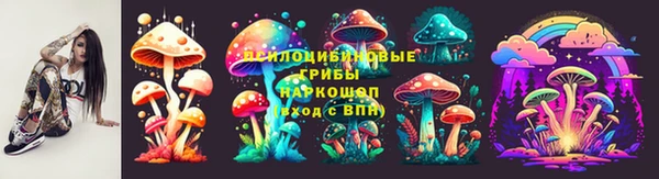 ПСИЛОЦИБИНОВЫЕ ГРИБЫ Алексеевка