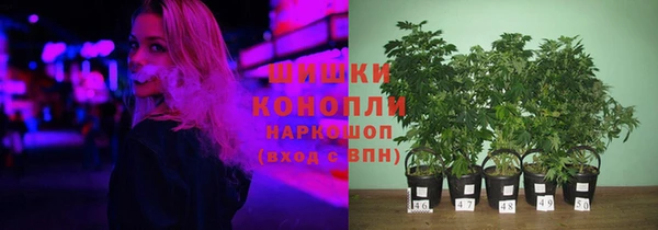 амф Алексин