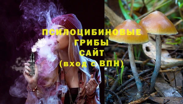 твердый Алзамай