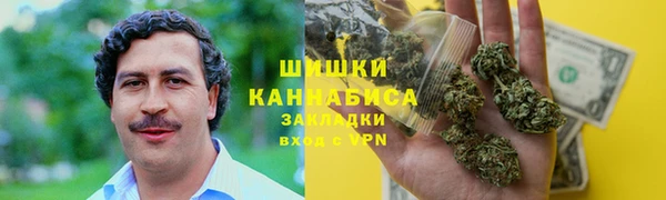 ПСИЛОЦИБИНОВЫЕ ГРИБЫ Алексеевка