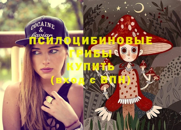 амф Алексин