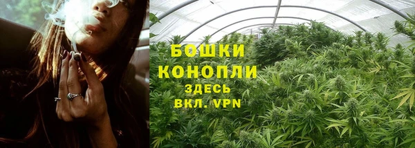 ПСИЛОЦИБИНОВЫЕ ГРИБЫ Алексеевка